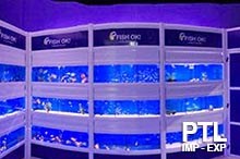 attrezzature_professionali_negozi_acquariologia71