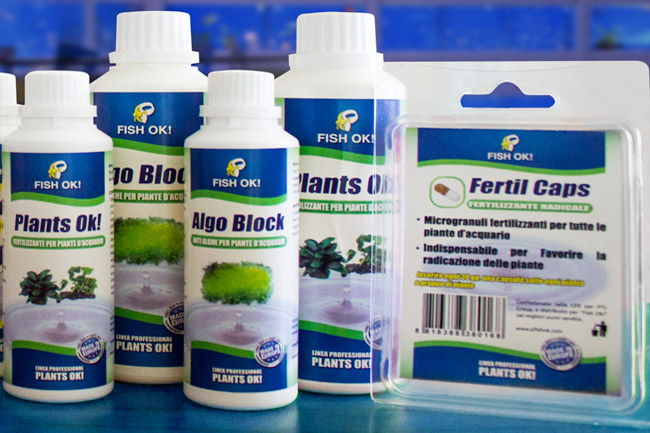 linea_plants_ok
