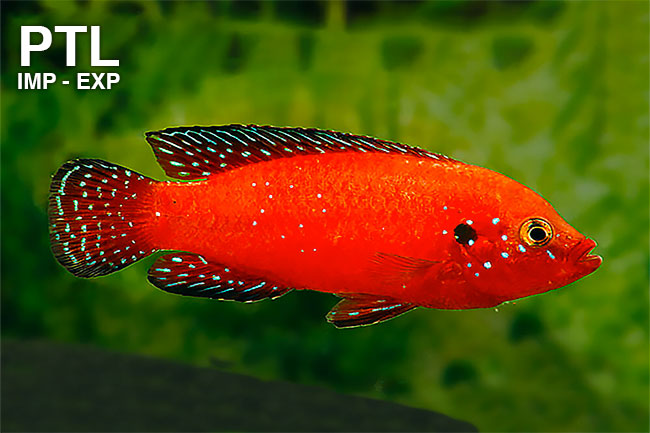 691547L