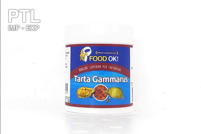 MGTARTA100