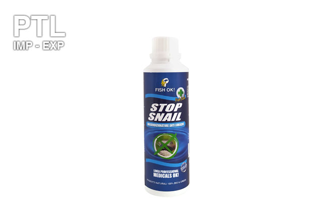 stop_snail7